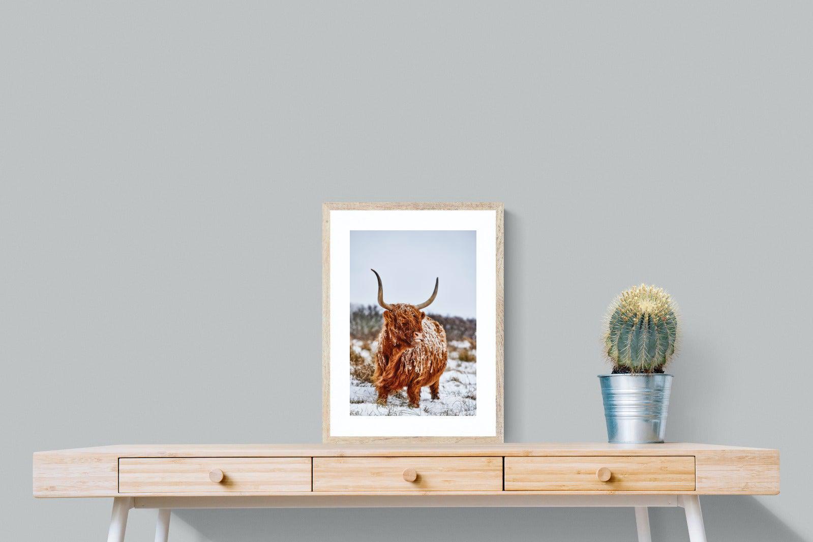 Highlander-Wall_Art-45 x 60cm-Framed Print-Wood-Pixalot