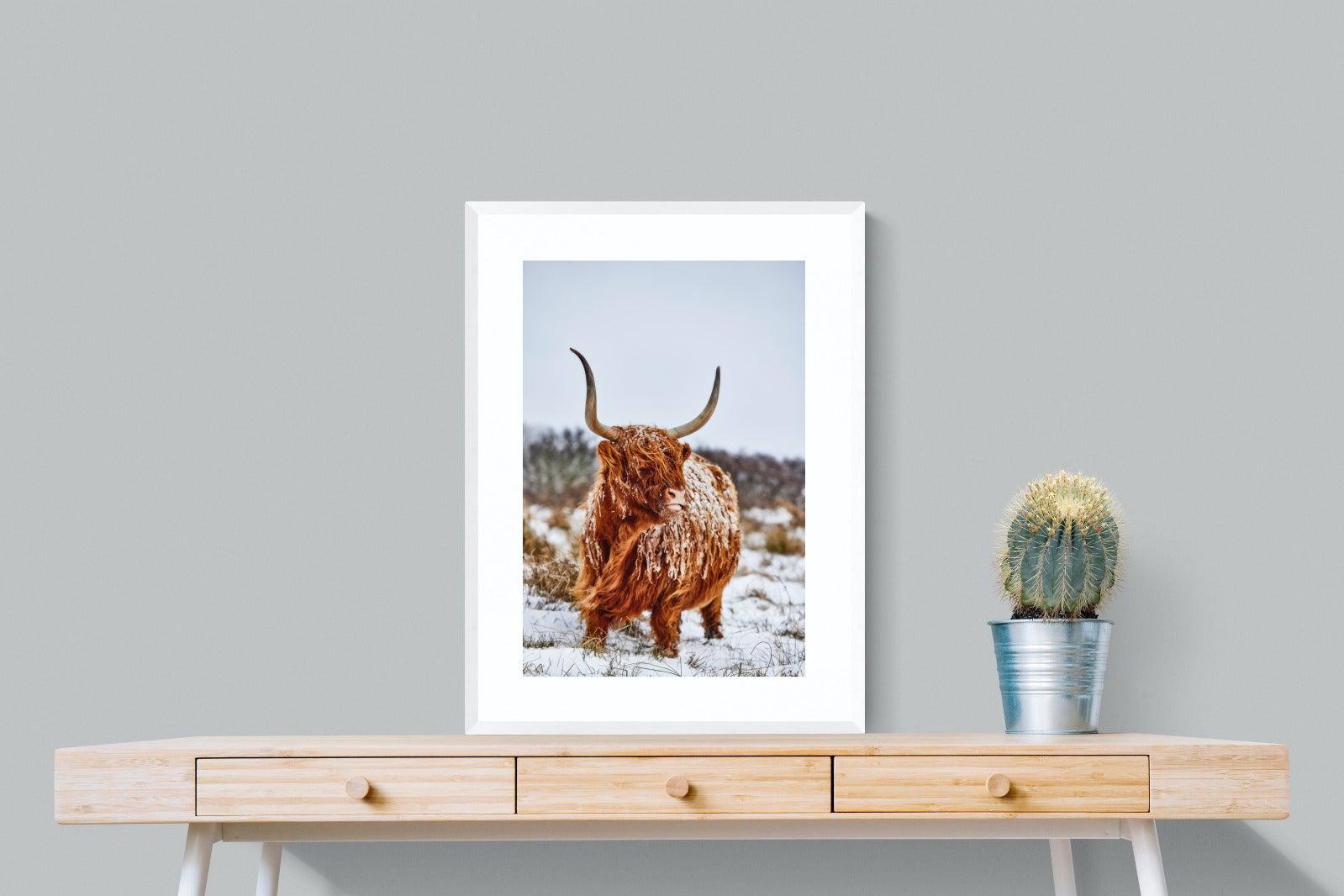 Highlander-Wall_Art-60 x 80cm-Framed Print-White-Pixalot