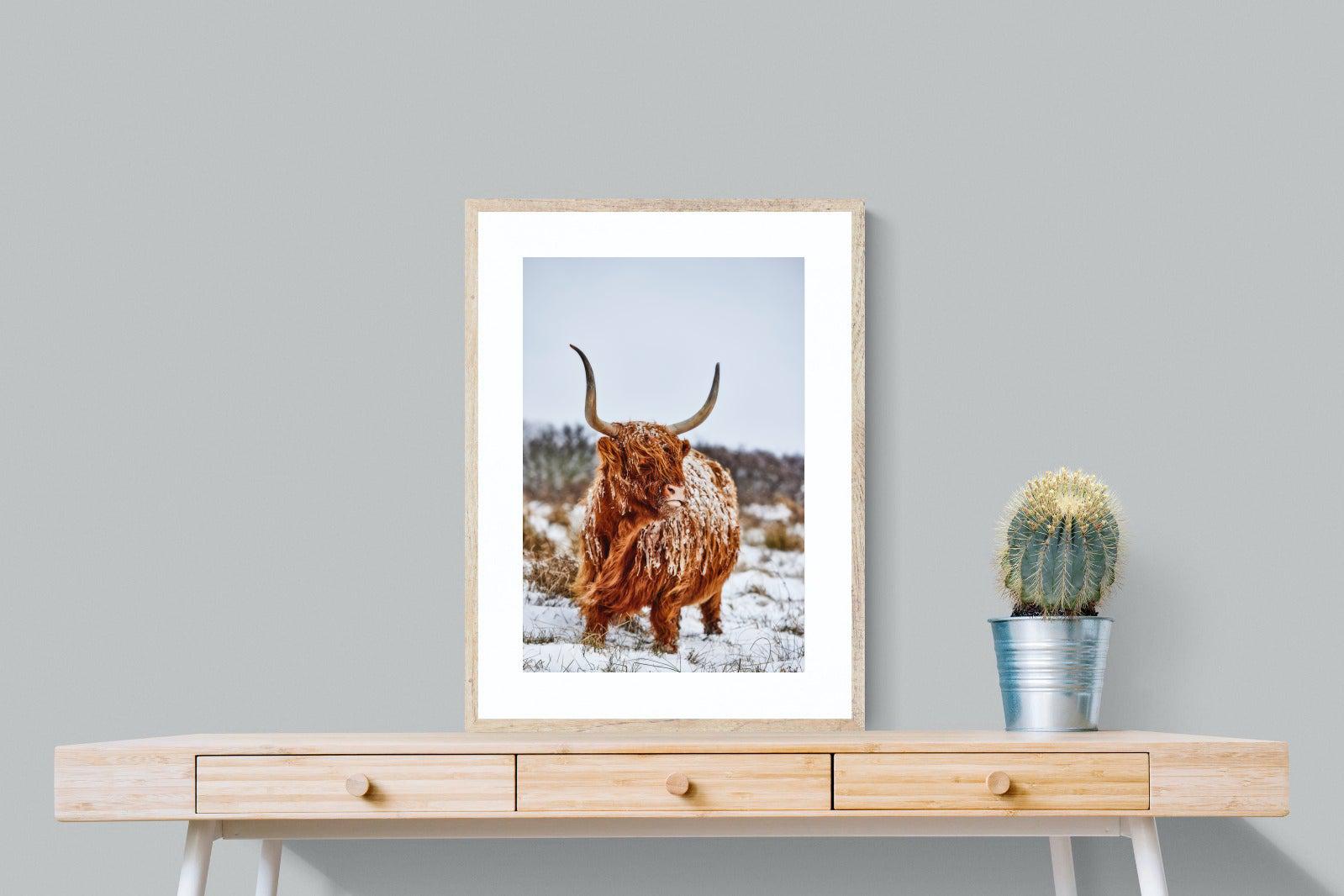 Highlander-Wall_Art-60 x 80cm-Framed Print-Wood-Pixalot
