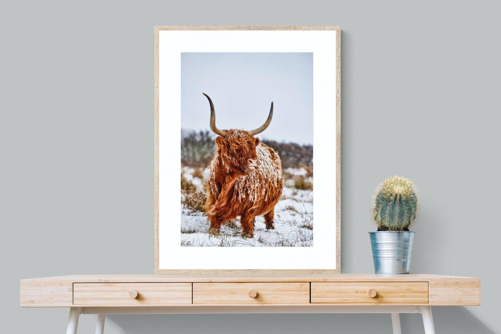Highlander-Wall_Art-75 x 100cm-Framed Print-Wood-Pixalot
