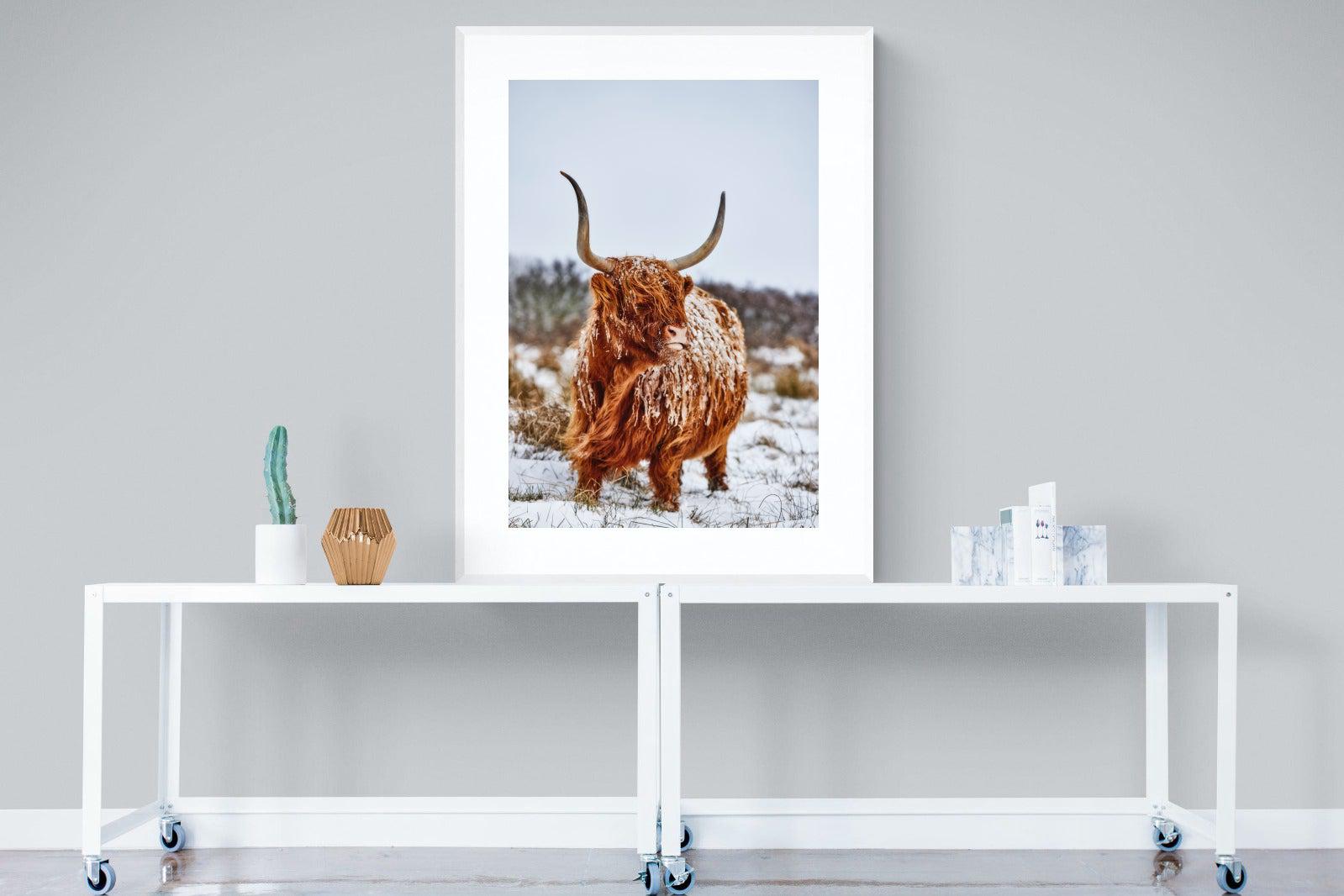 Highlander-Wall_Art-90 x 120cm-Framed Print-White-Pixalot