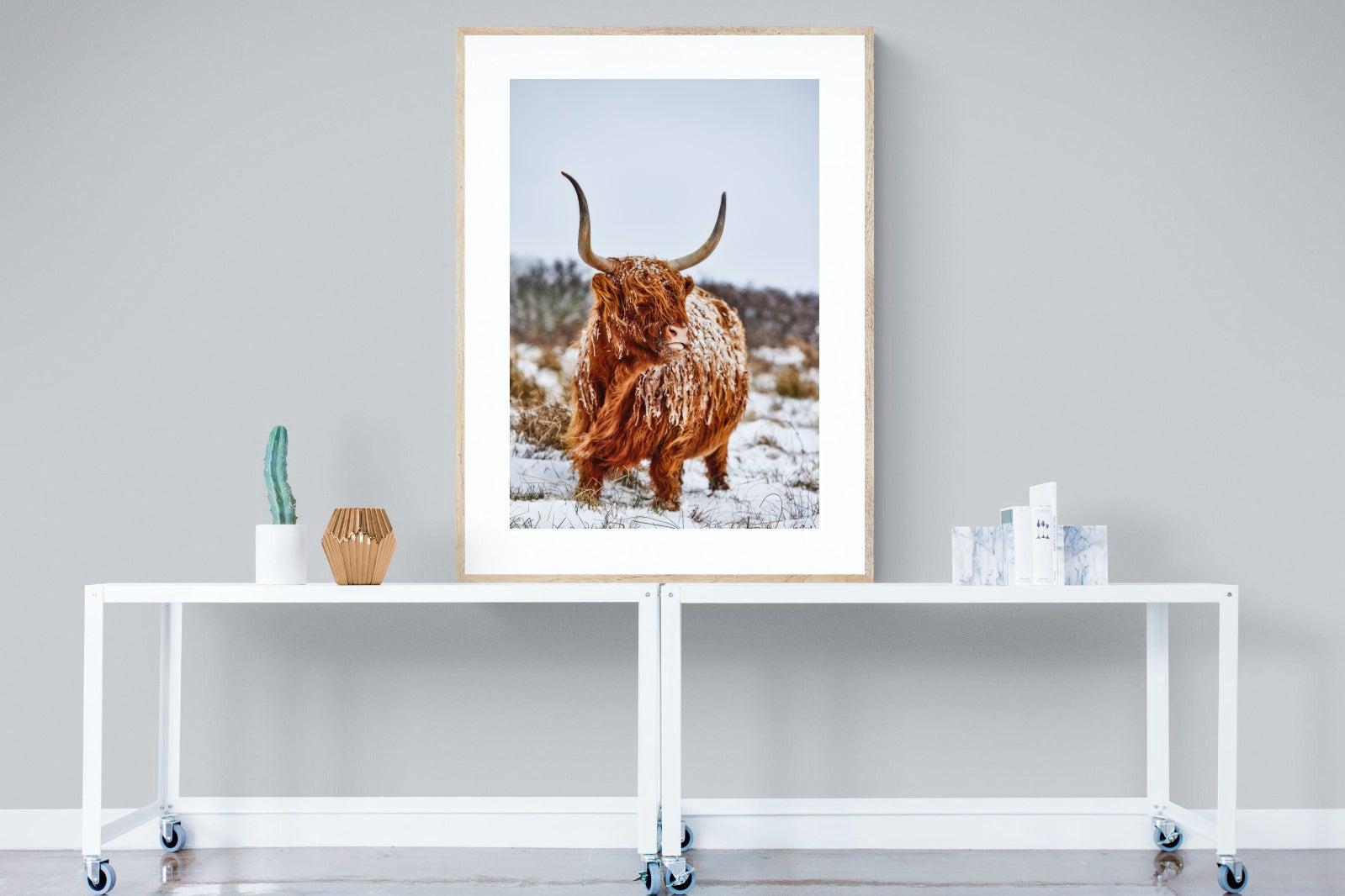 Highlander-Wall_Art-90 x 120cm-Framed Print-Wood-Pixalot