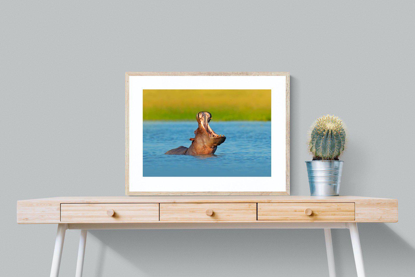 Hippo-Wall_Art-80 x 60cm-Framed Print-Wood-Pixalot