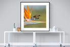 Hummingbird-Wall_Art-120 x 120cm-Framed Print-Black-Pixalot