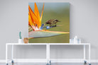 Hummingbird-Wall_Art-120 x 120cm-Mounted Canvas-No Frame-Pixalot