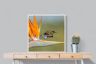 Hummingbird-Wall_Art-80 x 80cm-Mounted Canvas-White-Pixalot