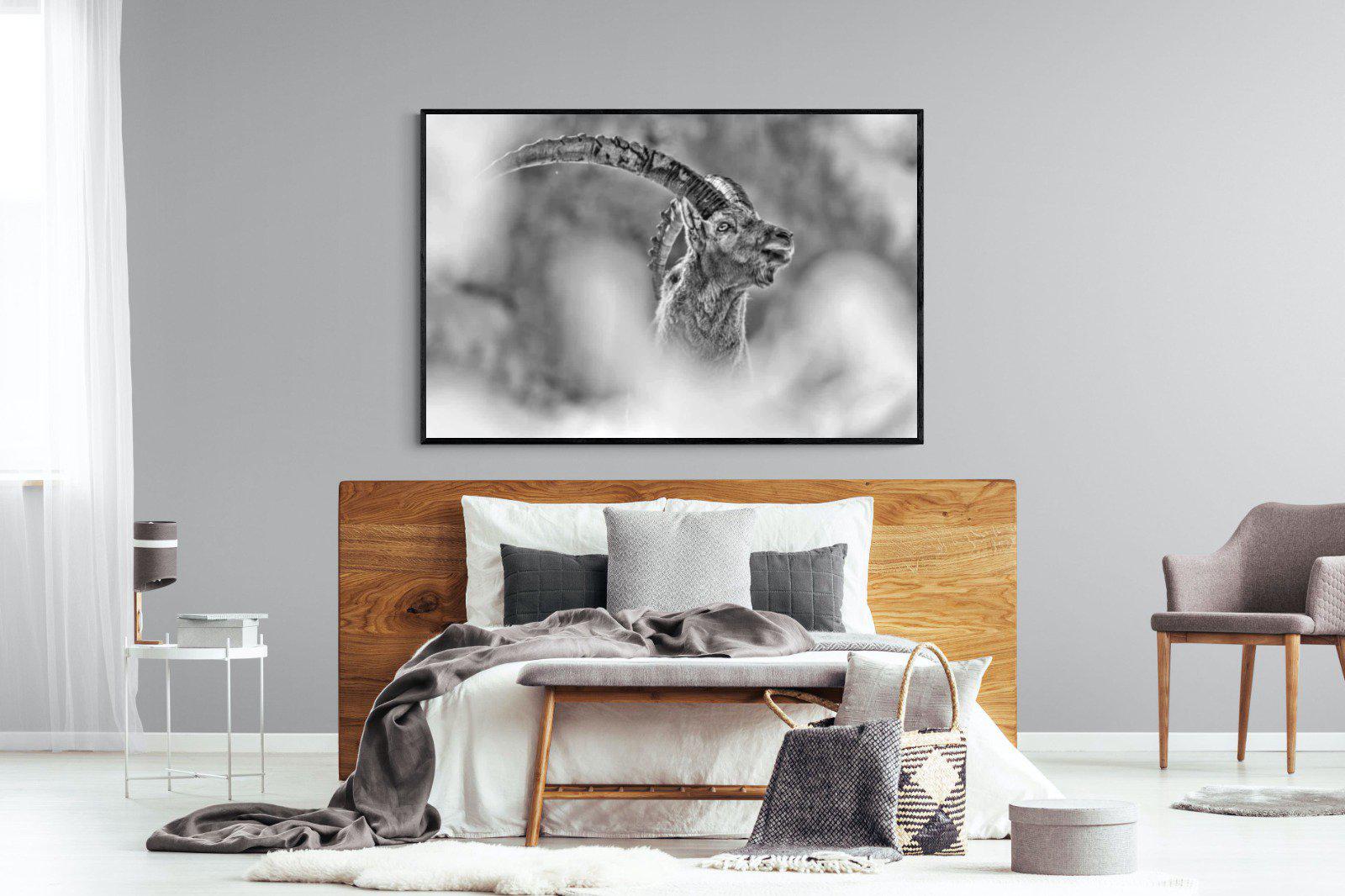 Ibex-Wall_Art-150 x 100cm-Mounted Canvas-Black-Pixalot