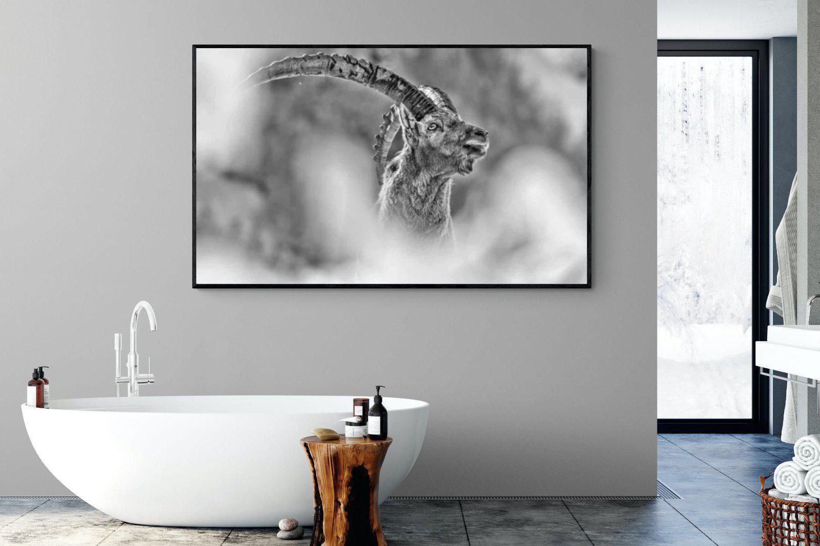 Ibex-Wall_Art-180 x 110cm-Mounted Canvas-Black-Pixalot