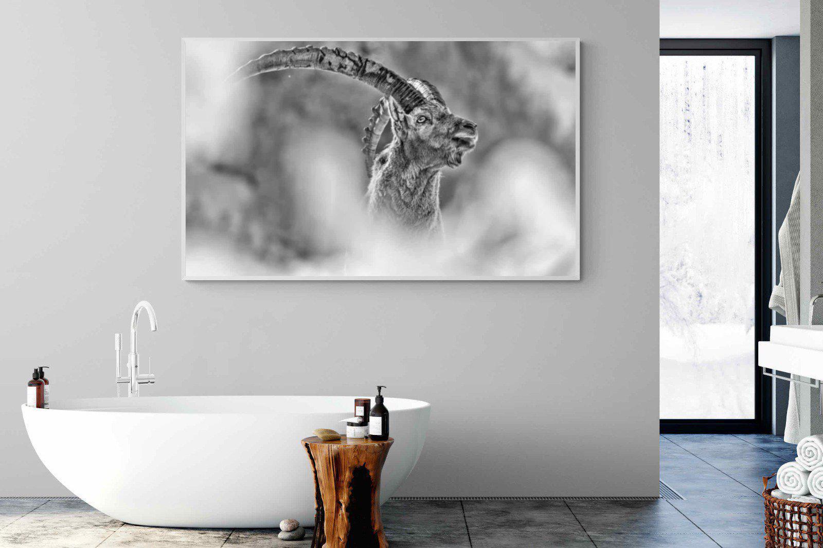 Ibex-Wall_Art-180 x 110cm-Mounted Canvas-White-Pixalot