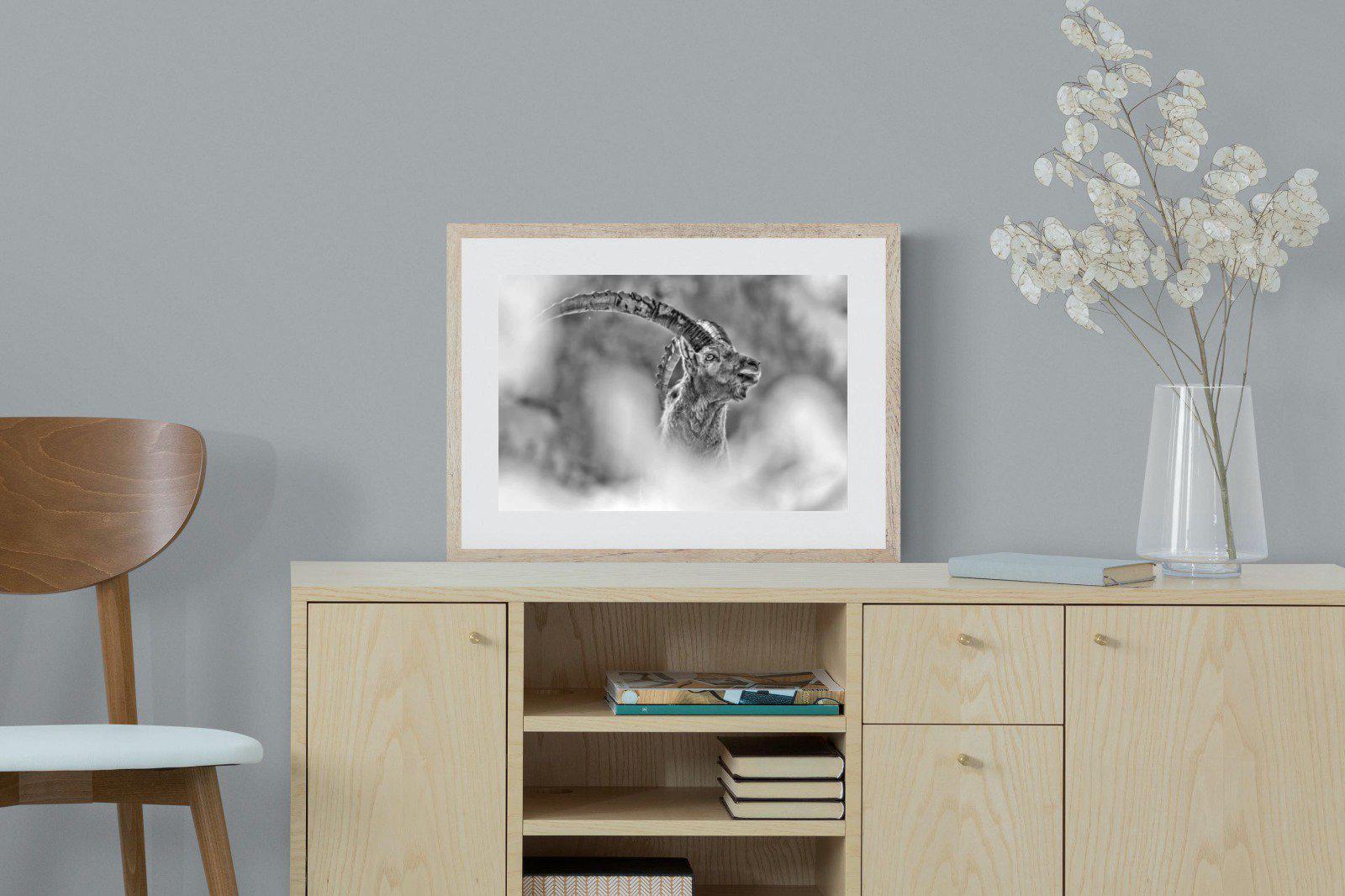 Ibex-Wall_Art-60 x 45cm-Framed Print-Wood-Pixalot