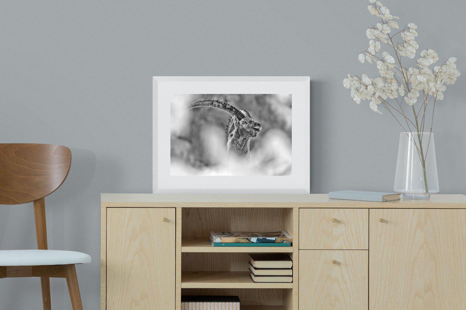 Ibex-Wall_Art-60 x 45cm-Framed Print-White-Pixalot