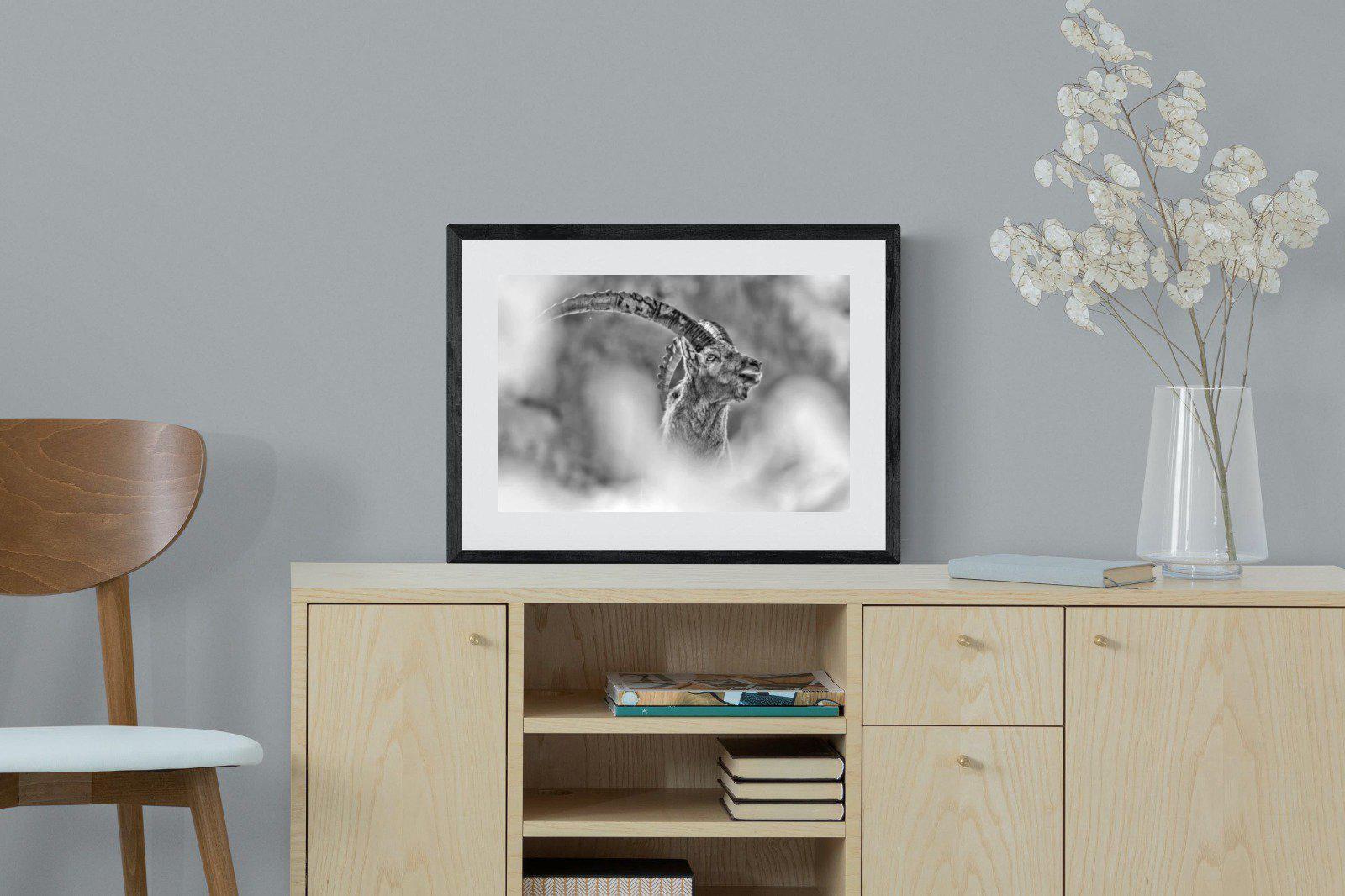 Ibex-Wall_Art-60 x 45cm-Framed Print-Black-Pixalot