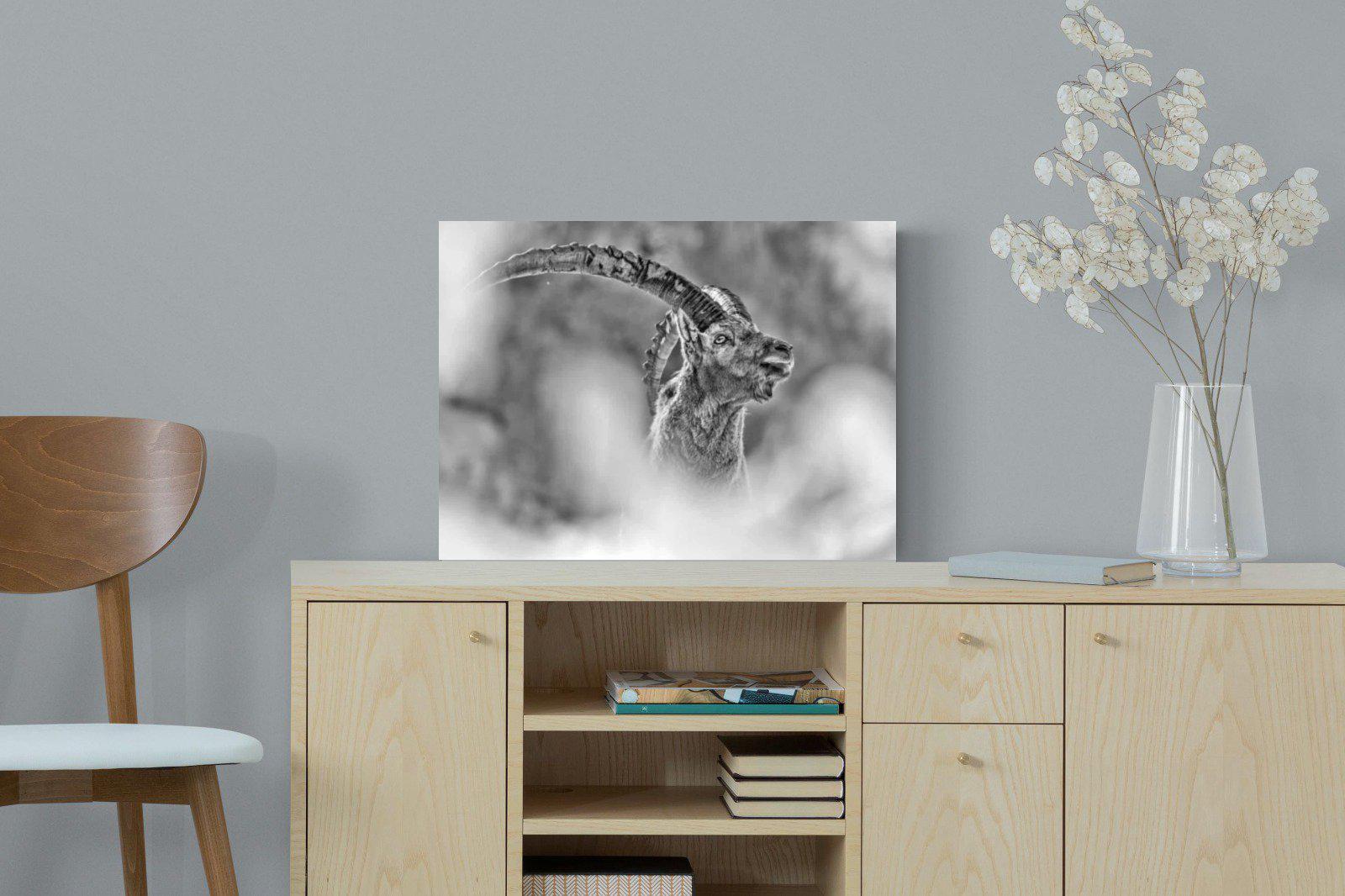 Ibex-Wall_Art-60 x 45cm-Mounted Canvas-No Frame-Pixalot