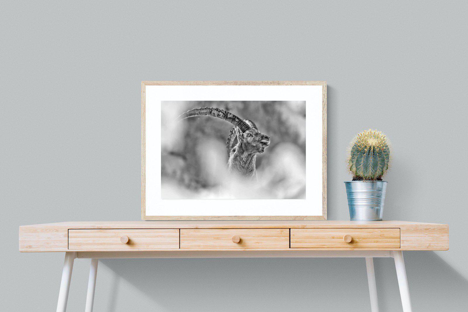 Ibex-Wall_Art-80 x 60cm-Framed Print-Wood-Pixalot