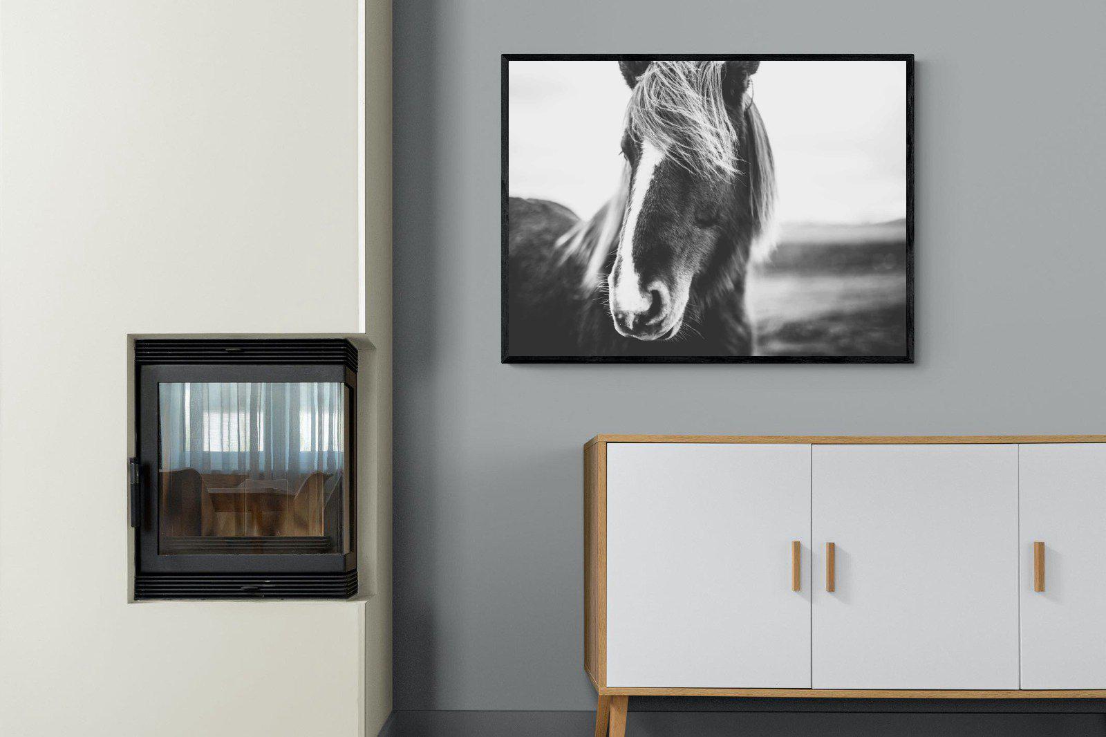 Icelandic Pony-Wall_Art-100 x 75cm-Mounted Canvas-Black-Pixalot