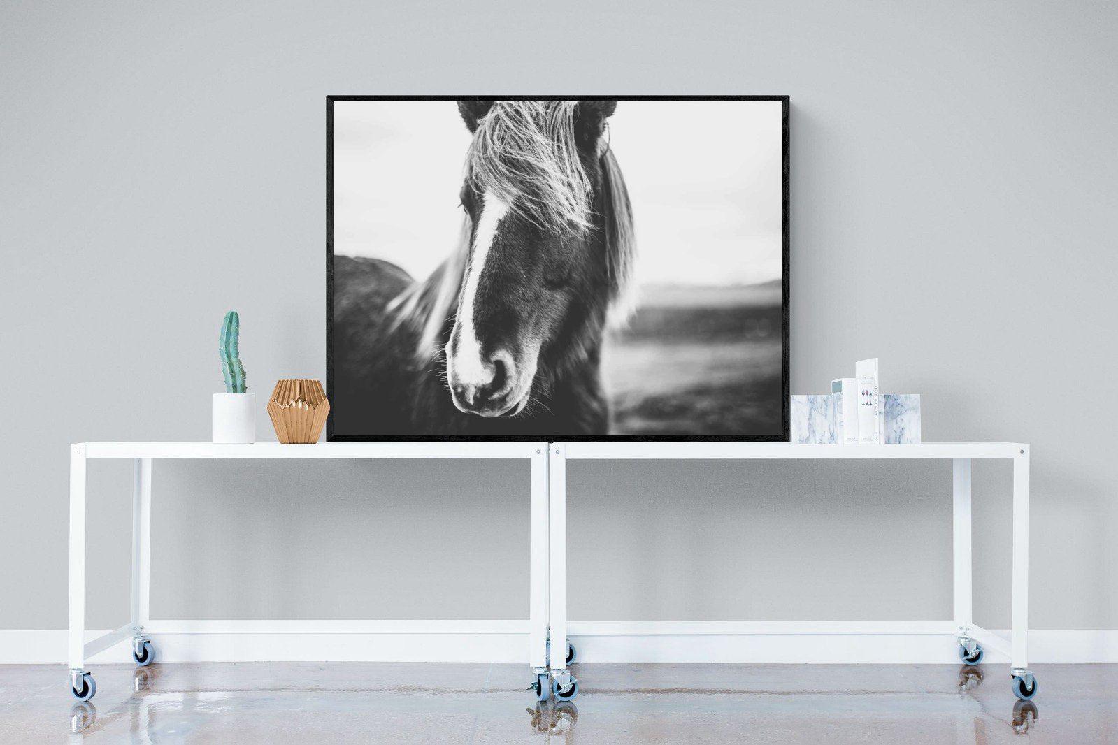 Icelandic Pony-Wall_Art-120 x 90cm-Mounted Canvas-Black-Pixalot