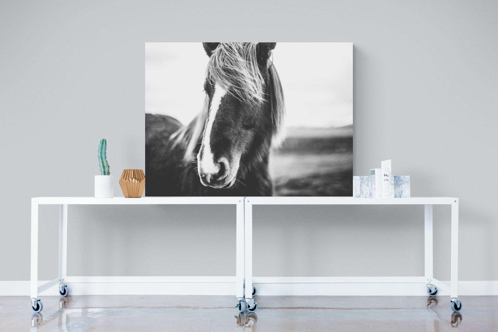 Icelandic Pony-Wall_Art-120 x 90cm-Mounted Canvas-No Frame-Pixalot