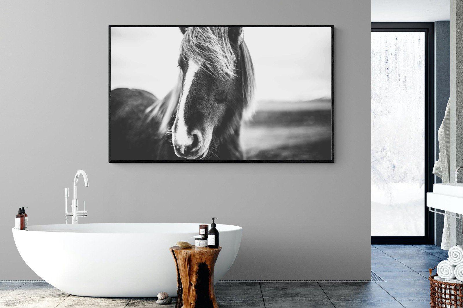 Icelandic Pony-Wall_Art-180 x 110cm-Mounted Canvas-Black-Pixalot