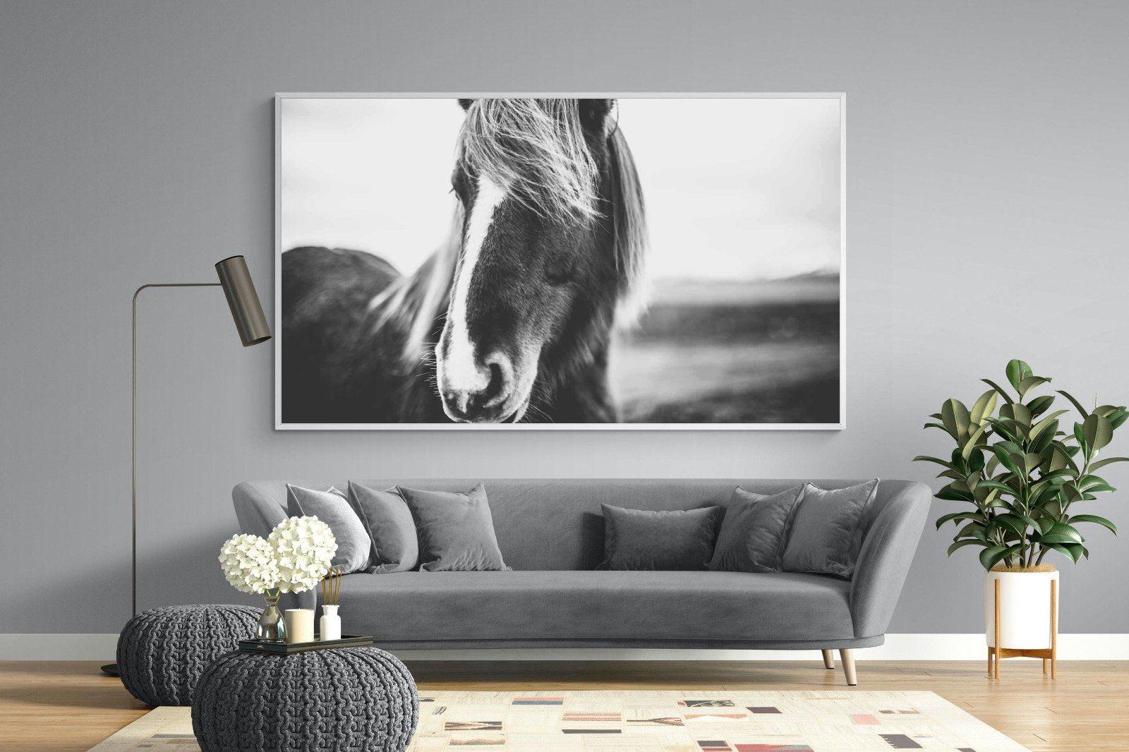 Icelandic Pony-Wall_Art-220 x 130cm-Mounted Canvas-White-Pixalot