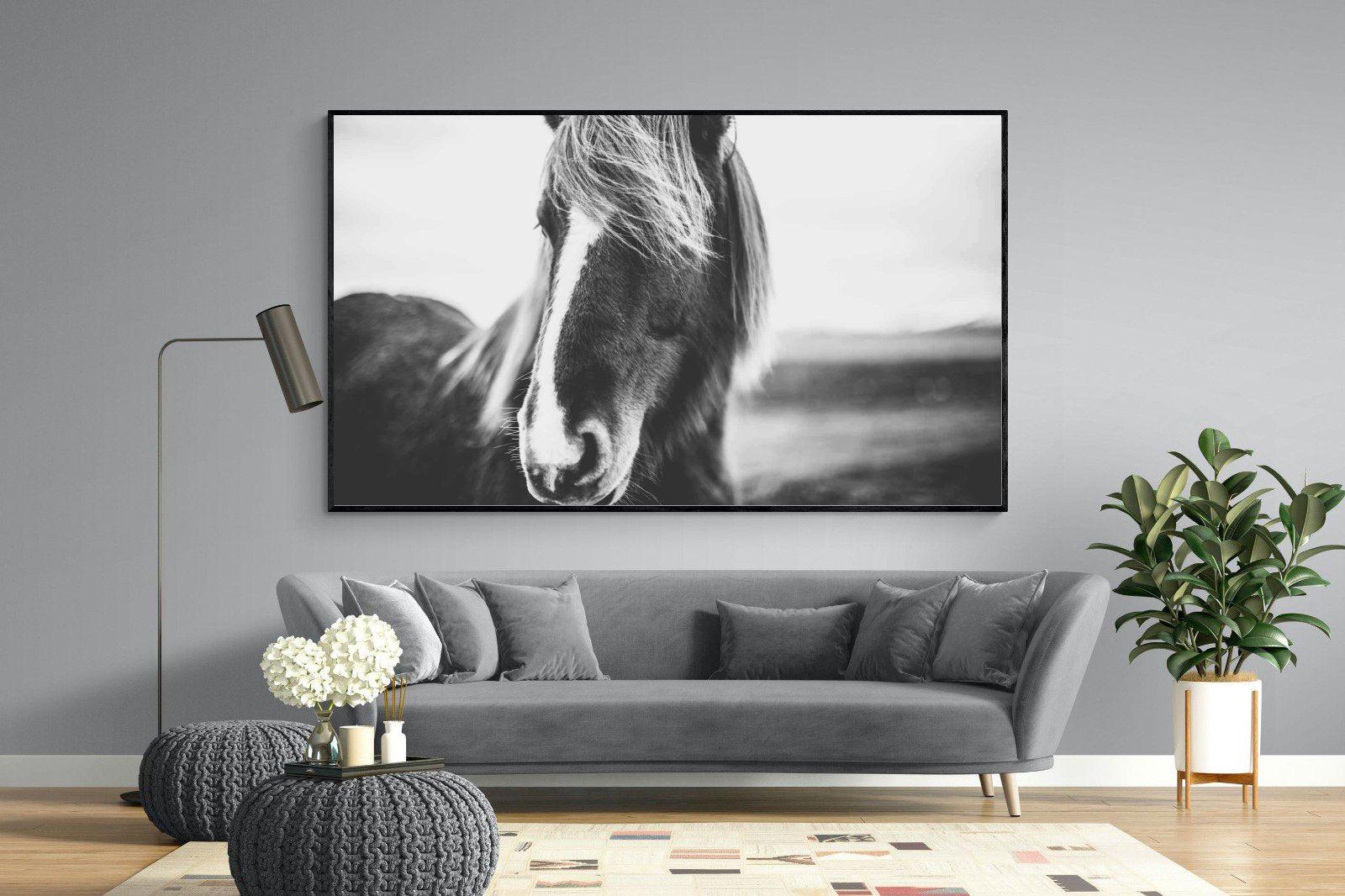 Icelandic Pony-Wall_Art-220 x 130cm-Mounted Canvas-Black-Pixalot