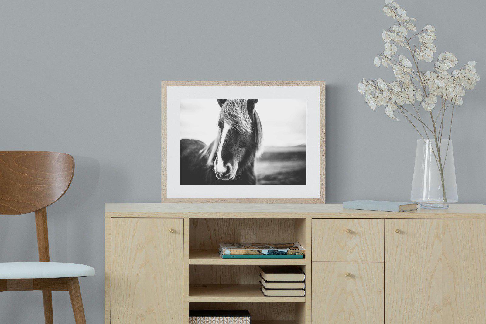 Icelandic Pony-Wall_Art-60 x 45cm-Framed Print-Wood-Pixalot