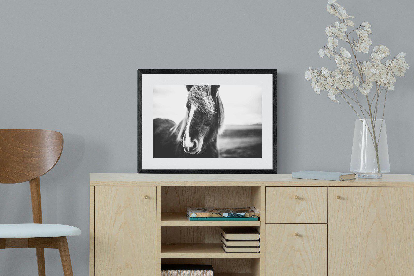 Icelandic Pony-Wall_Art-60 x 45cm-Framed Print-Black-Pixalot