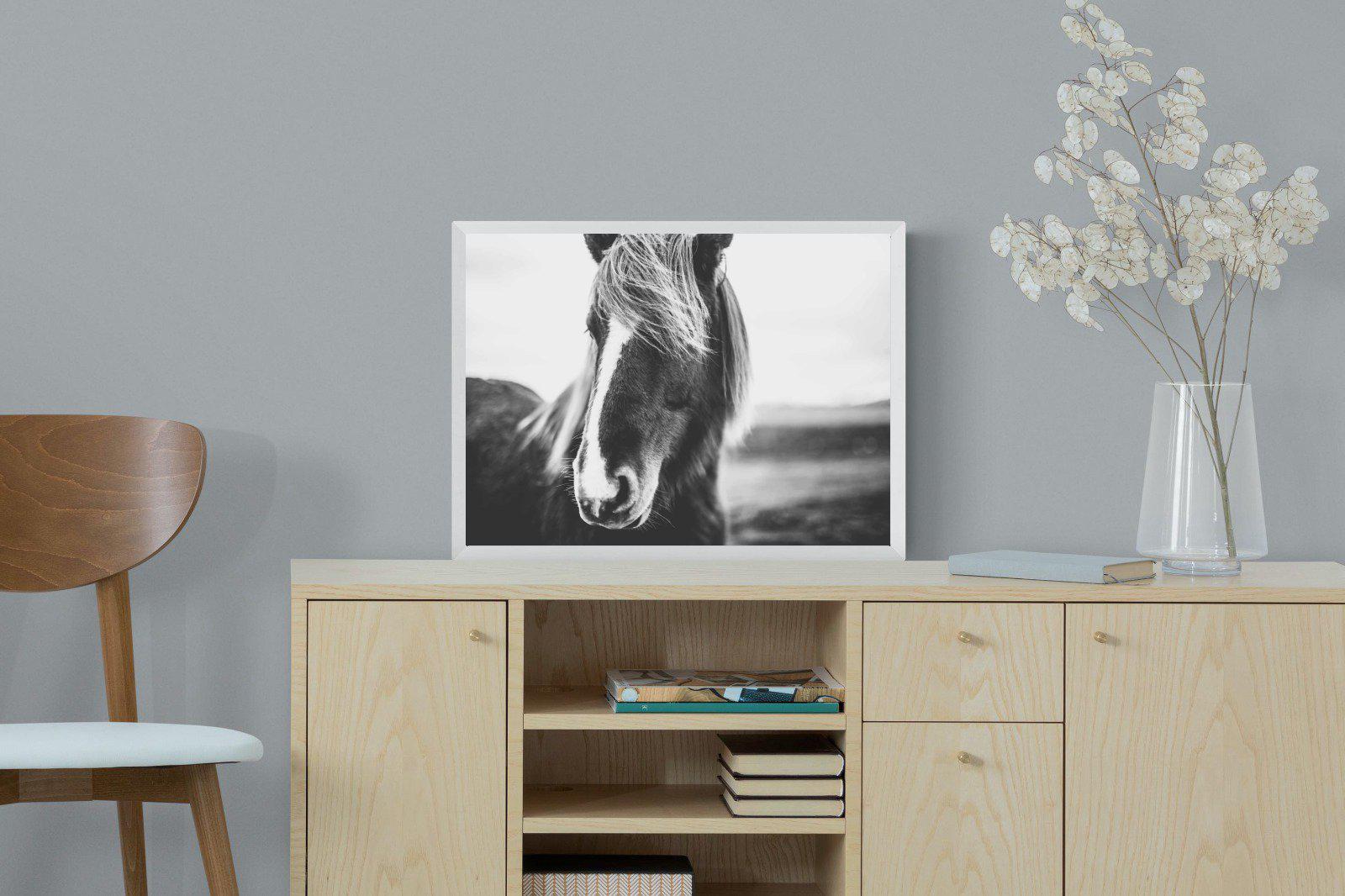 Icelandic Pony-Wall_Art-60 x 45cm-Mounted Canvas-White-Pixalot