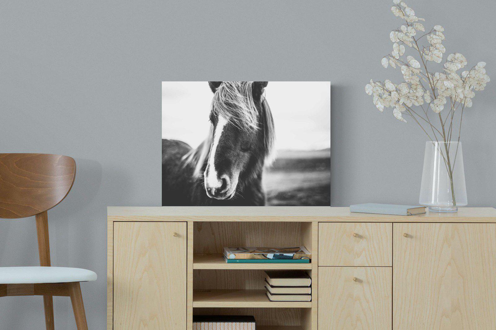 Icelandic Pony-Wall_Art-60 x 45cm-Mounted Canvas-No Frame-Pixalot
