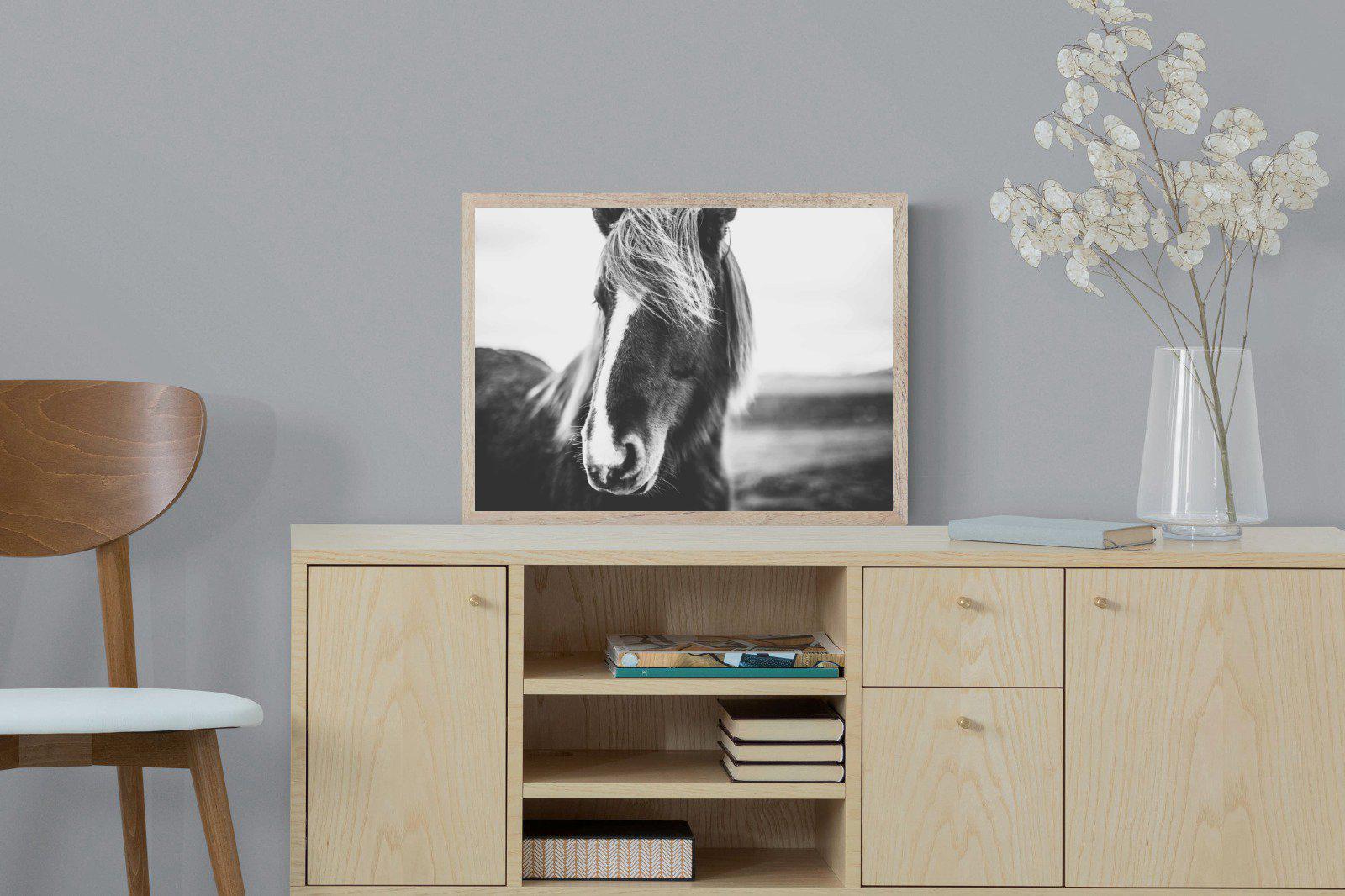 Icelandic Pony-Wall_Art-60 x 45cm-Mounted Canvas-Wood-Pixalot