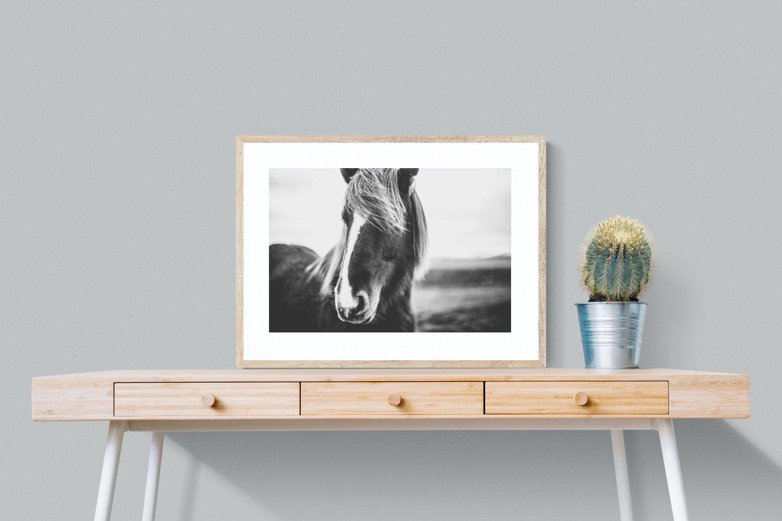Icelandic Pony-Wall_Art-80 x 60cm-Framed Print-Wood-Pixalot