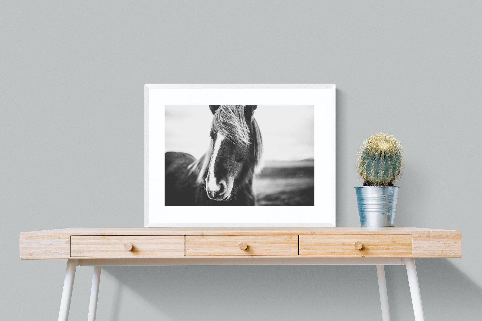 Icelandic Pony-Wall_Art-80 x 60cm-Framed Print-White-Pixalot