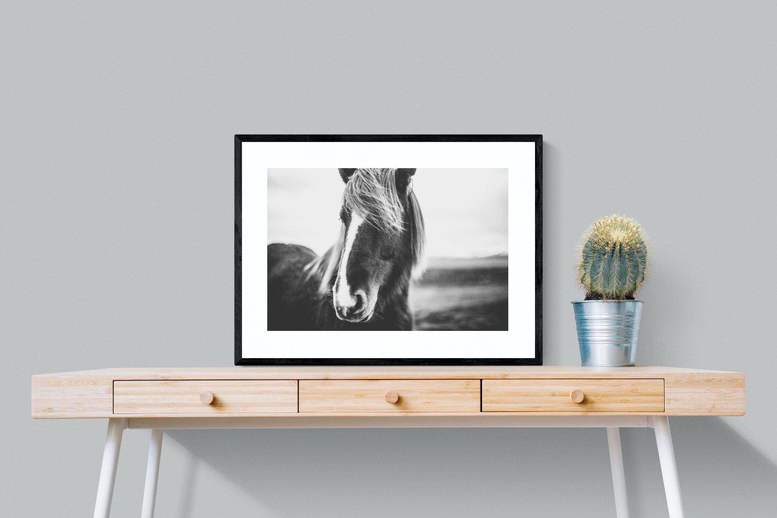 Icelandic Pony-Wall_Art-80 x 60cm-Framed Print-Black-Pixalot