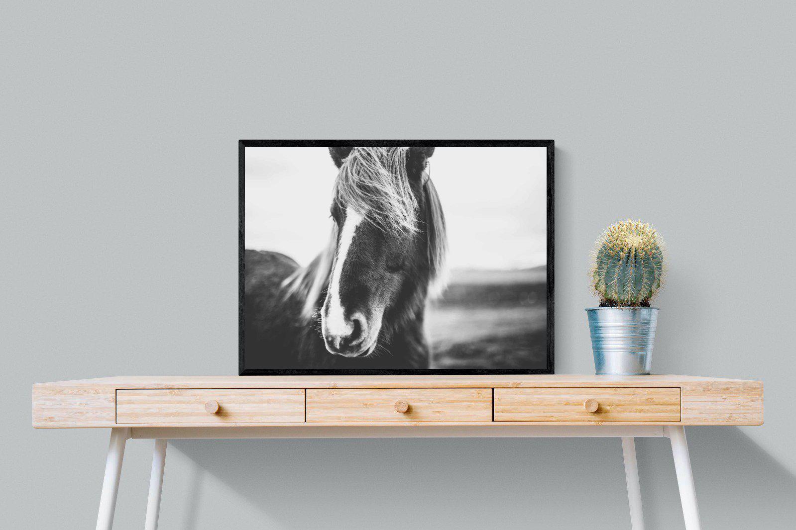 Icelandic Pony-Wall_Art-80 x 60cm-Mounted Canvas-Black-Pixalot