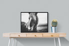Icelandic Pony-Wall_Art-80 x 60cm-Mounted Canvas-Black-Pixalot