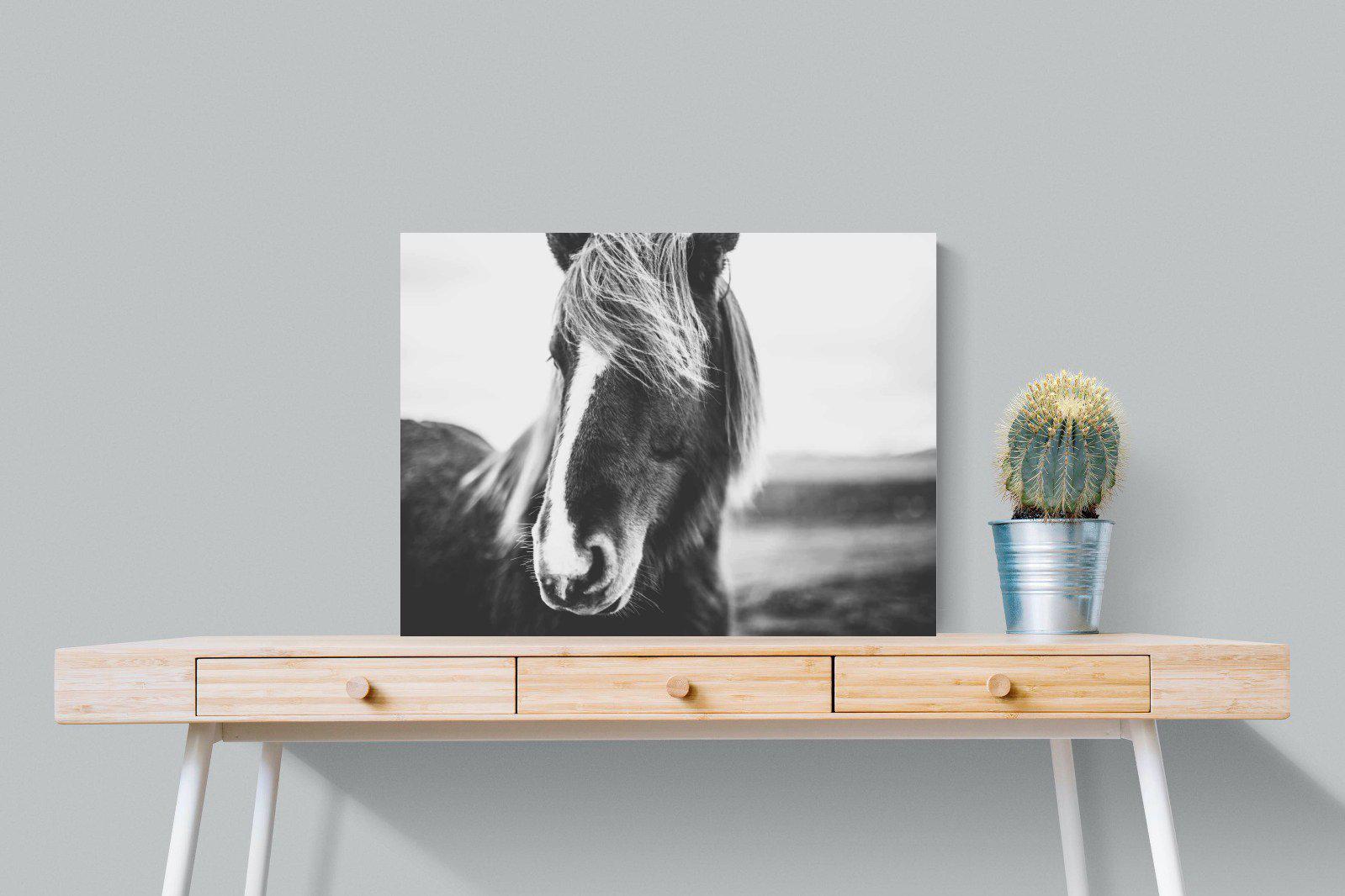 Icelandic Pony-Wall_Art-80 x 60cm-Mounted Canvas-No Frame-Pixalot