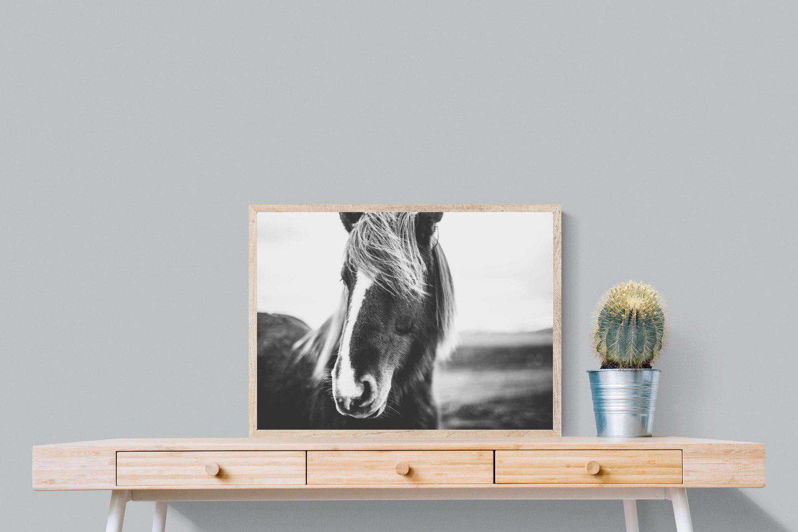 Icelandic Pony-Wall_Art-80 x 60cm-Mounted Canvas-Wood-Pixalot