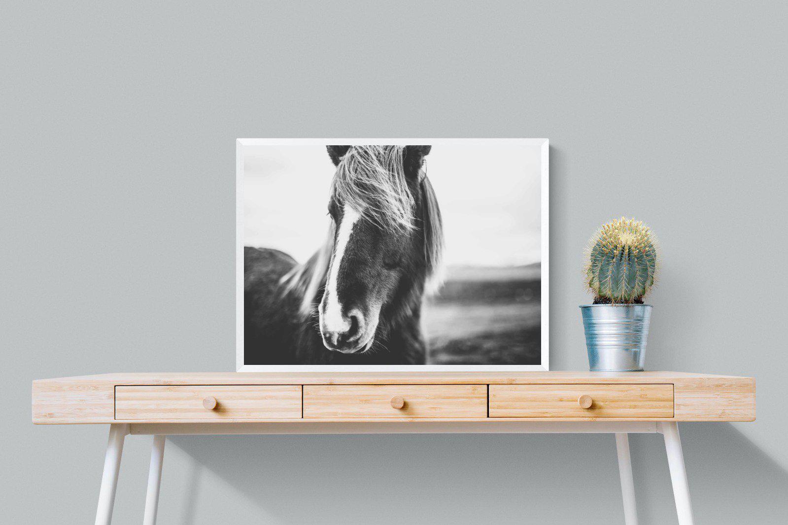 Icelandic Pony-Wall_Art-80 x 60cm-Mounted Canvas-White-Pixalot