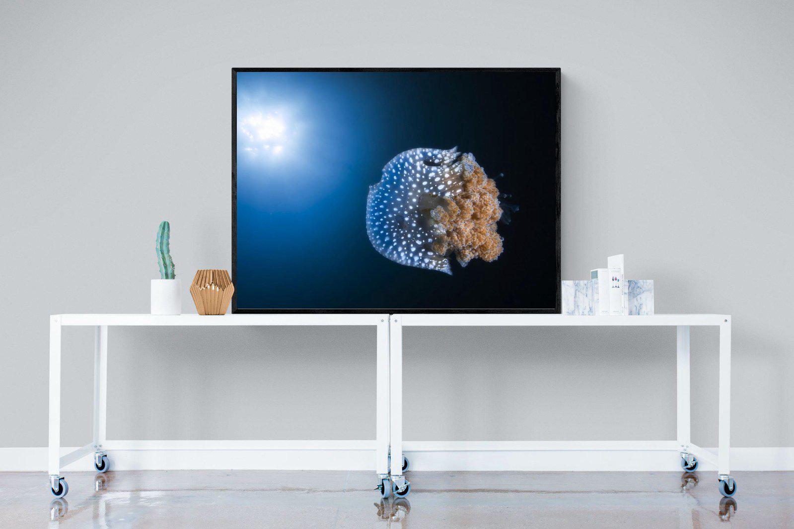 Jellyfish-Wall_Art-120 x 90cm-Mounted Canvas-Black-Pixalot
