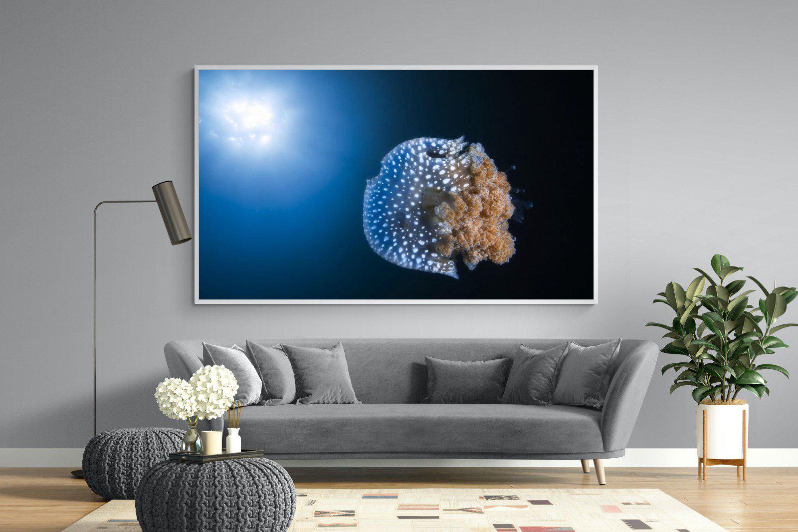 Jellyfish-Wall_Art-220 x 130cm-Mounted Canvas-White-Pixalot