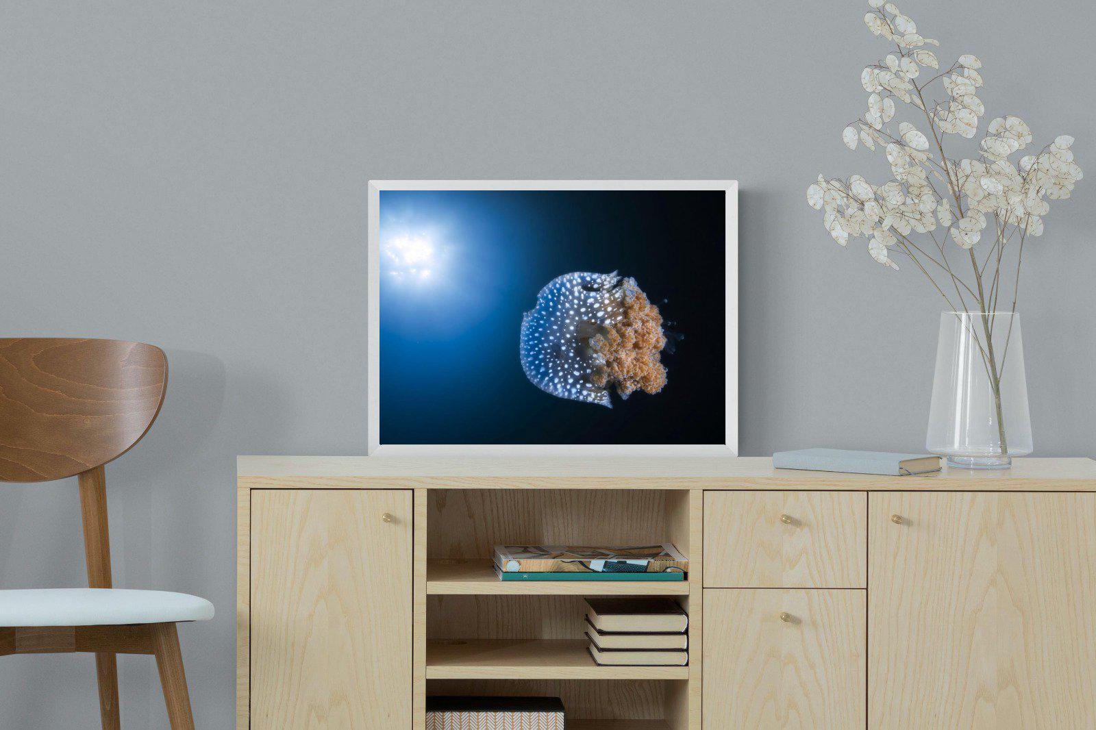 Jellyfish-Wall_Art-60 x 45cm-Mounted Canvas-White-Pixalot