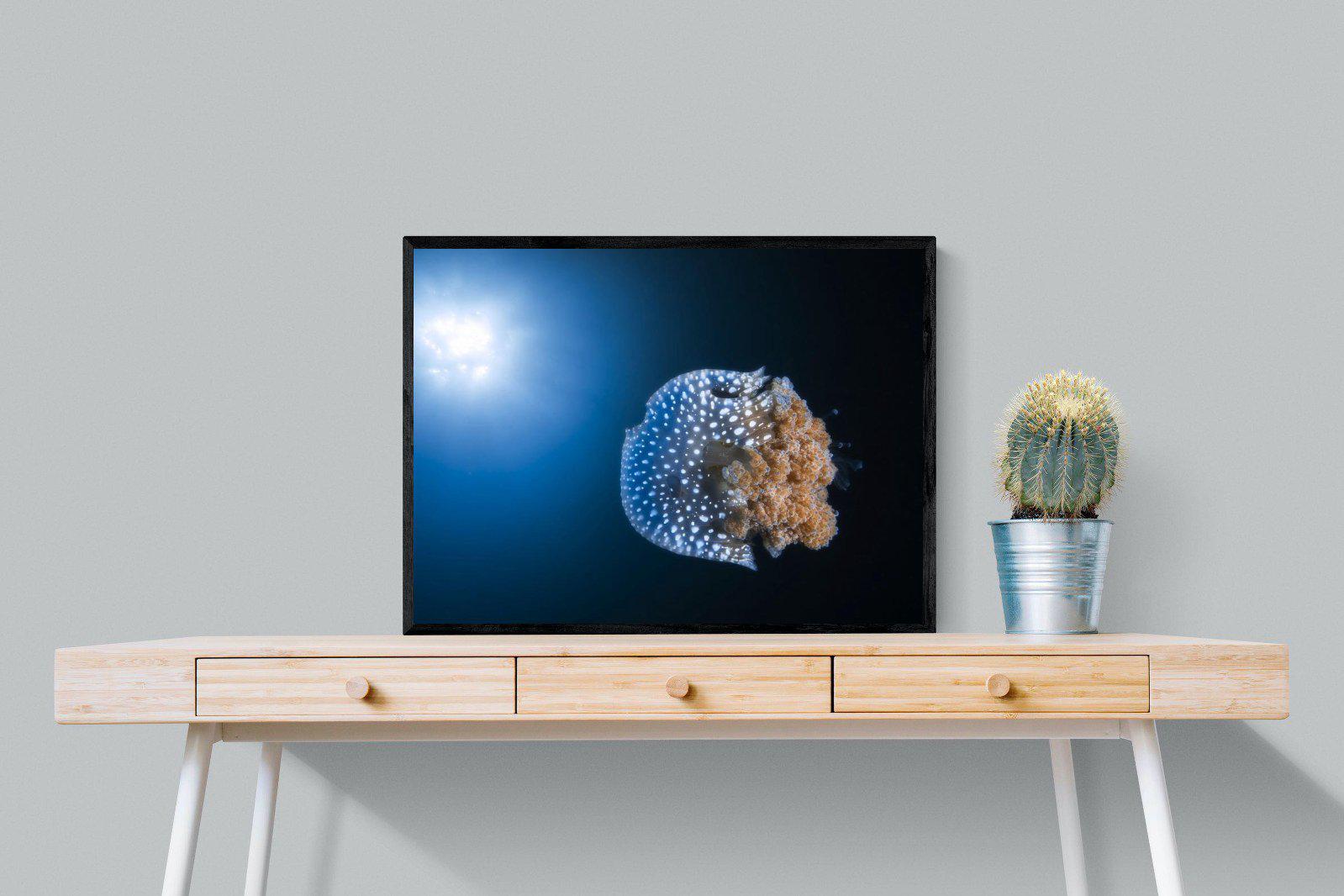 Jellyfish-Wall_Art-80 x 60cm-Mounted Canvas-Black-Pixalot