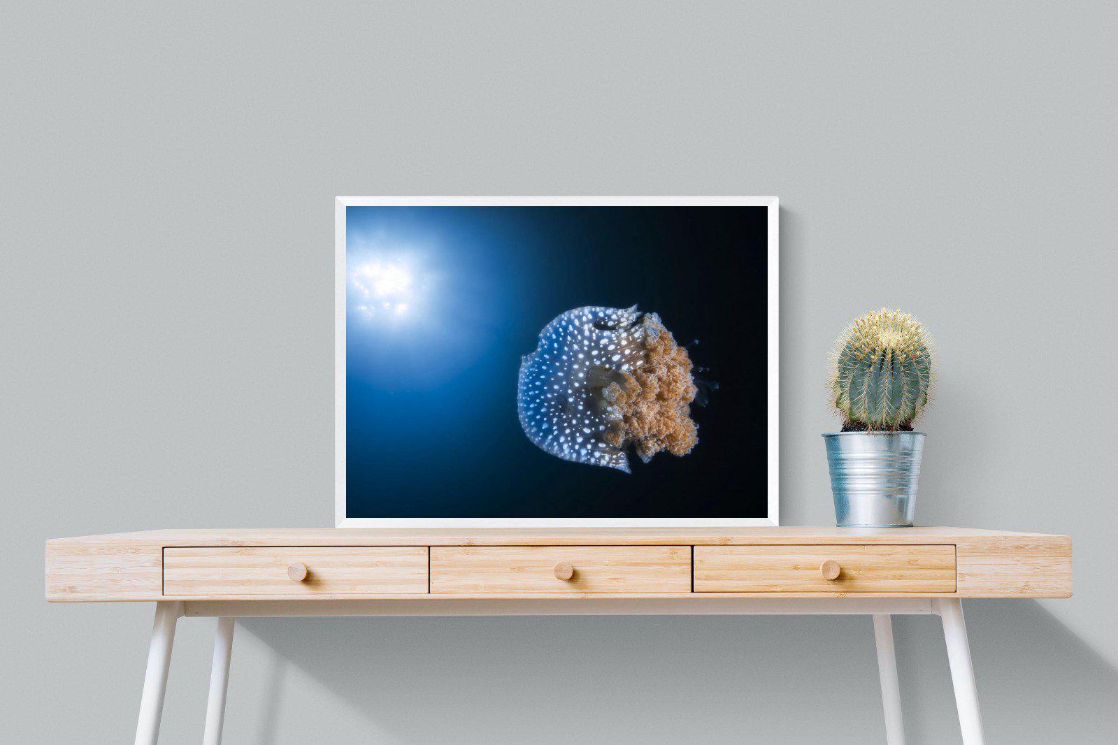 Jellyfish-Wall_Art-80 x 60cm-Mounted Canvas-White-Pixalot