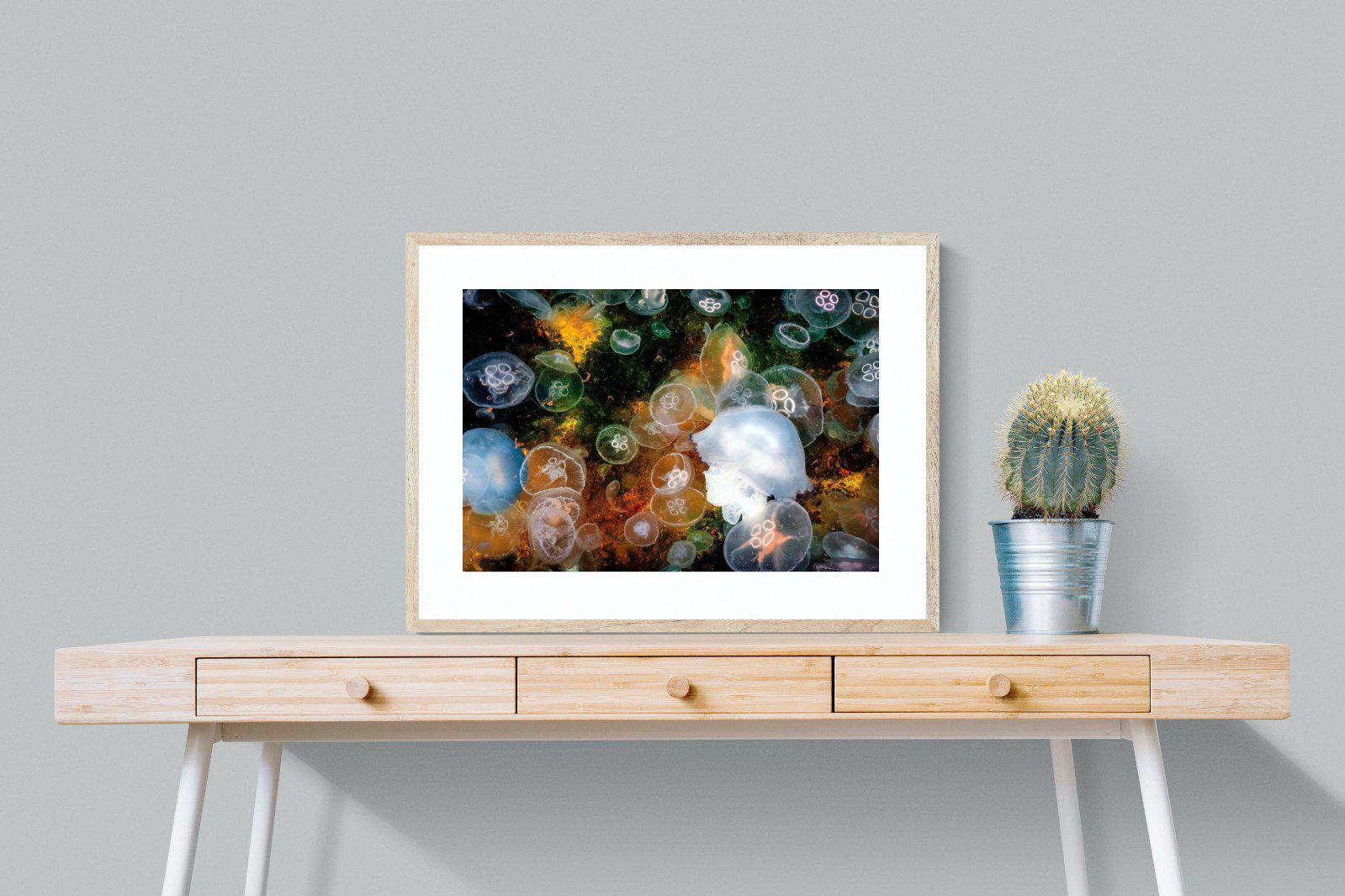 Jellyfish Smack-Wall_Art-80 x 60cm-Framed Print-Wood-Pixalot