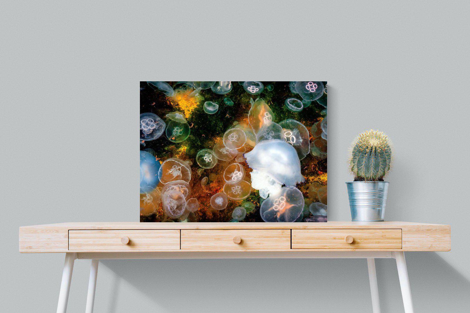 Jellyfish Smack-Wall_Art-80 x 60cm-Mounted Canvas-No Frame-Pixalot