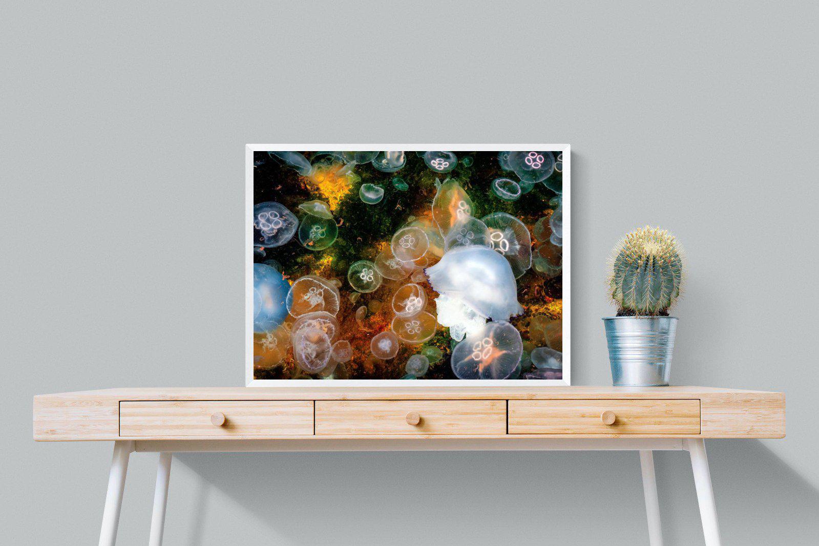 Jellyfish Smack-Wall_Art-80 x 60cm-Mounted Canvas-White-Pixalot