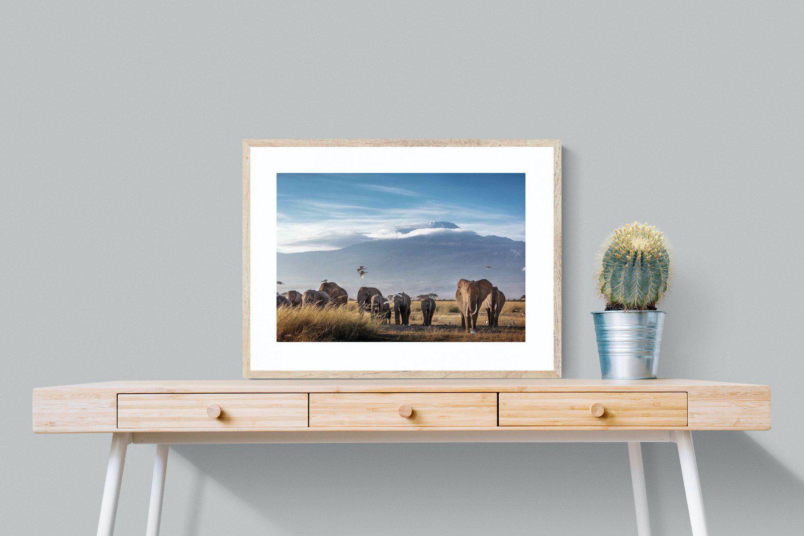 Kilimanjaro Elephants-Wall_Art-80 x 60cm-Framed Print-Wood-Pixalot