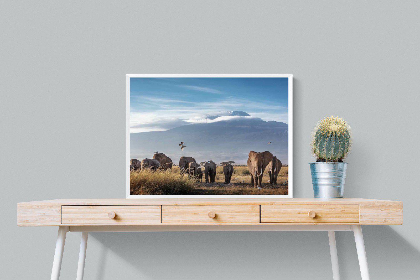 Kilimanjaro Elephants-Wall_Art-80 x 60cm-Mounted Canvas-White-Pixalot