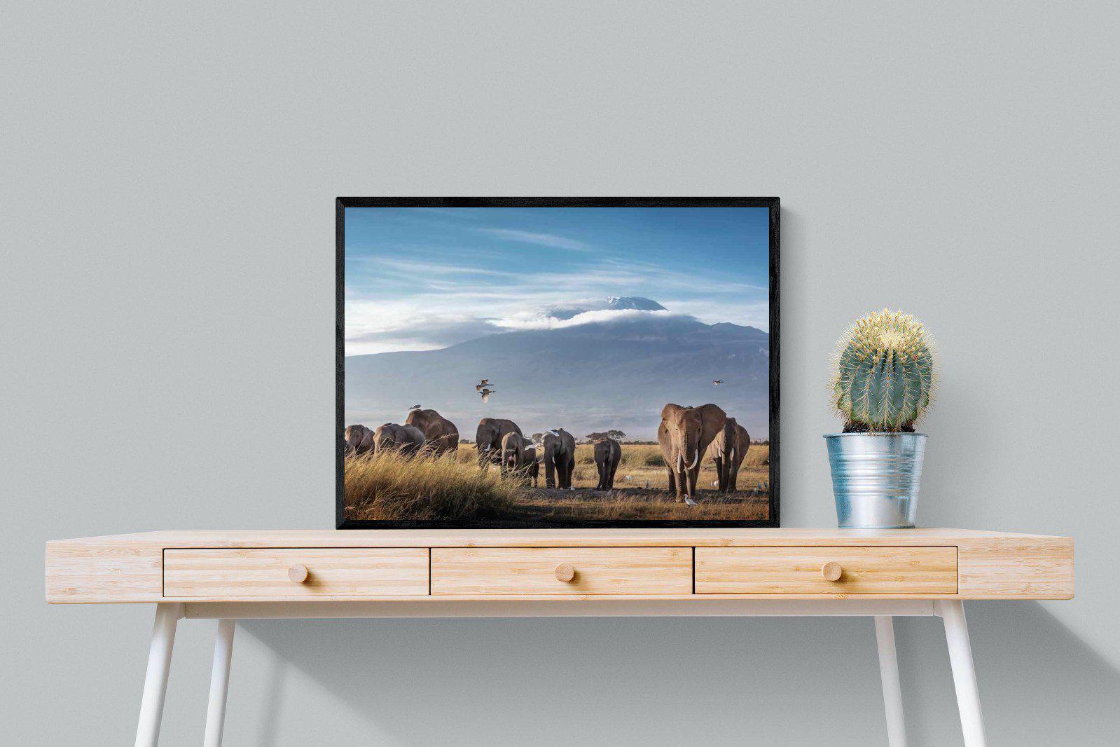 Kilimanjaro Elephants-Wall_Art-80 x 60cm-Mounted Canvas-Black-Pixalot