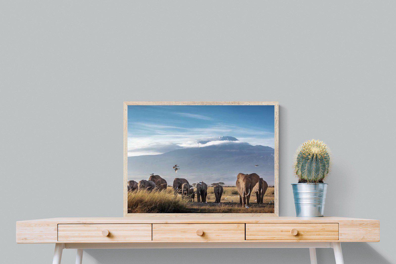 Kilimanjaro Elephants-Wall_Art-80 x 60cm-Mounted Canvas-Wood-Pixalot