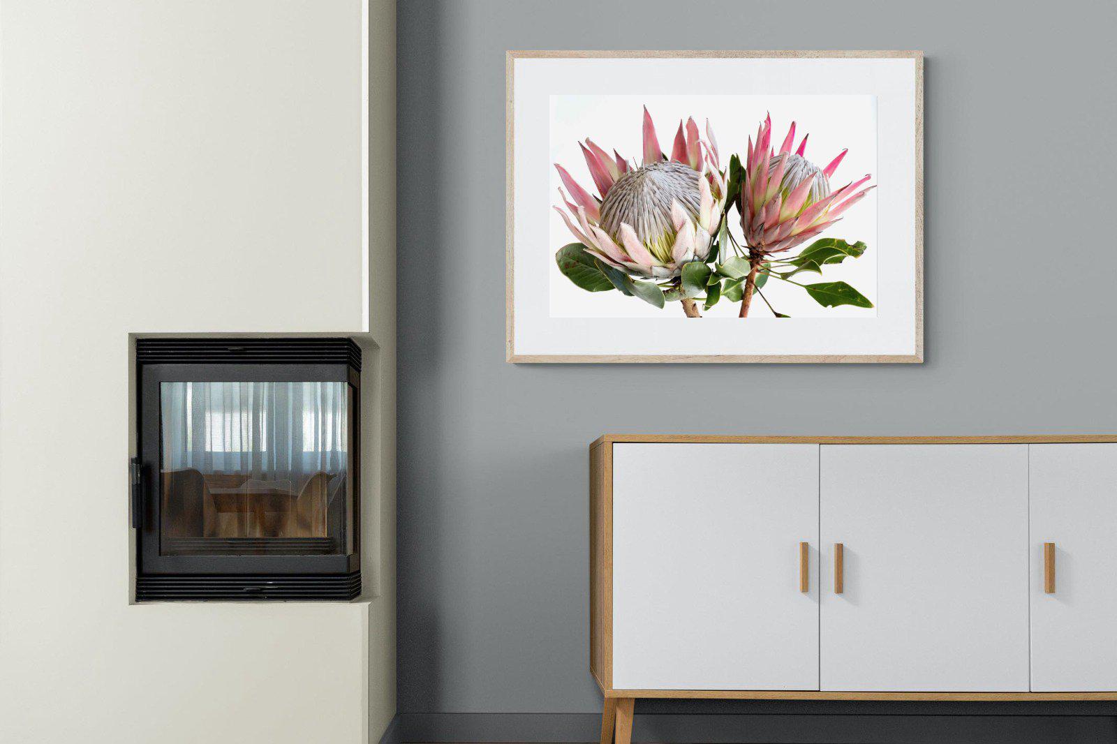 King Proteas-Wall_Art-100 x 75cm-Framed Print-Wood-Pixalot